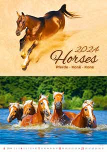 Horses - kalendáø